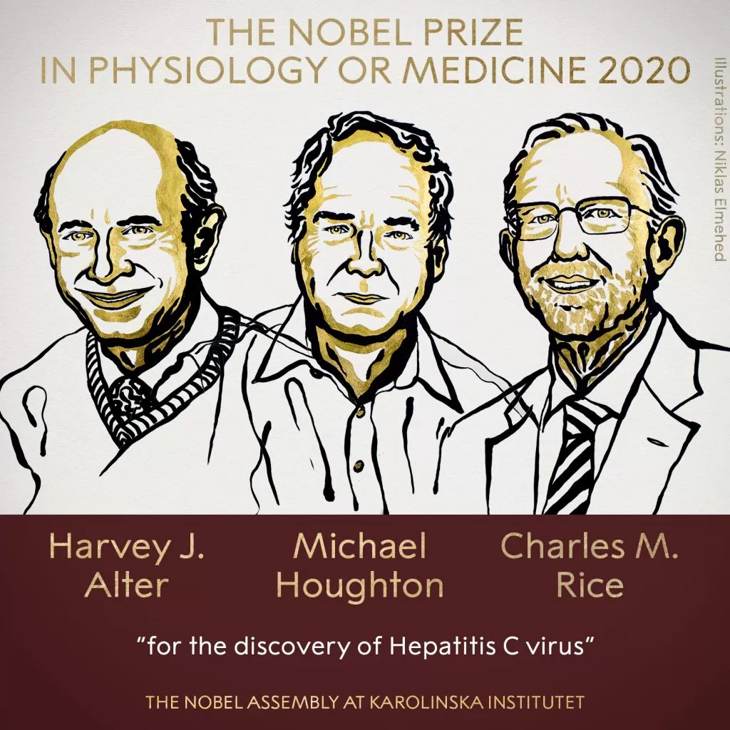 Premio Nobel de Medicina 2020 para descubridores del virus de la Hepatitis C.